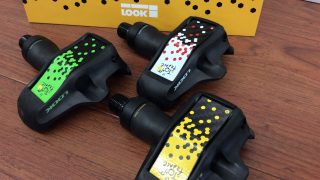 173F1F88-0C67-462B-817C-